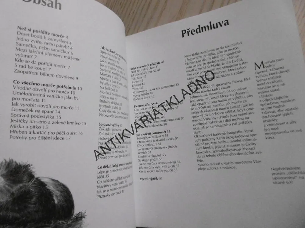MORČE, KATRIN BEHRENDOVÁ,**an