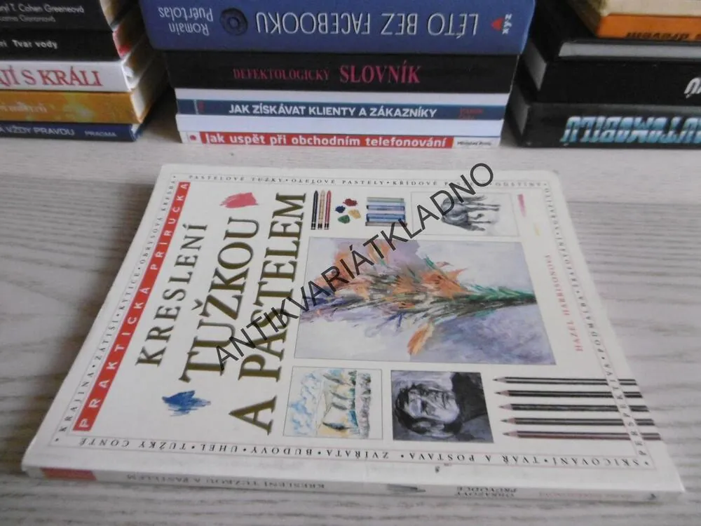 KRESLENÍ TUŽKOU A PASTELEM, HAZEL HARRISONOVÁ, **an