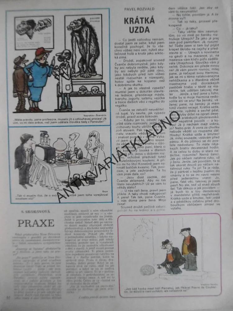 DIKOBRAZ 12/1980