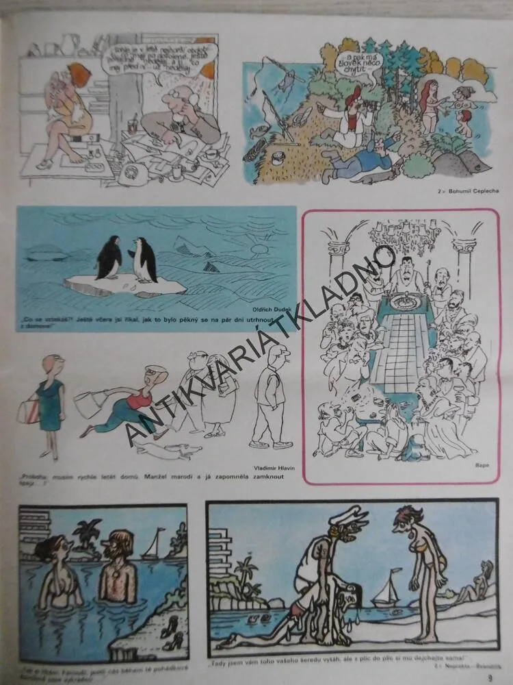 DIKOBRAZ 30/1986