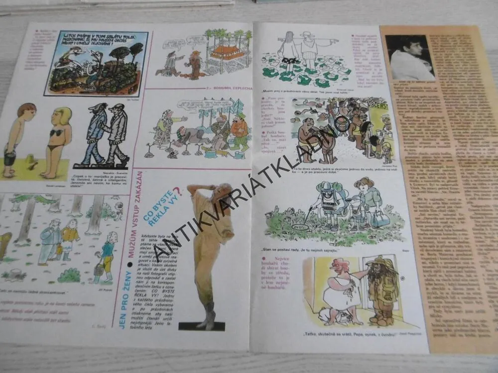 DIKOBRAZ 33/1986