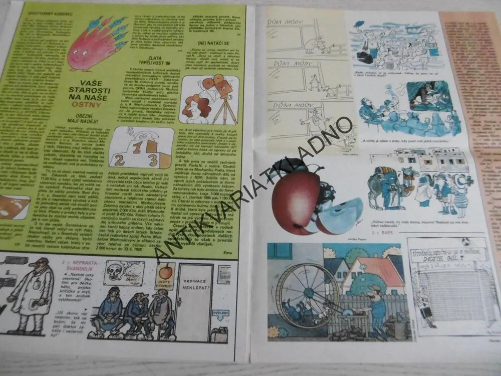 DIKOBRAZ 35/1986