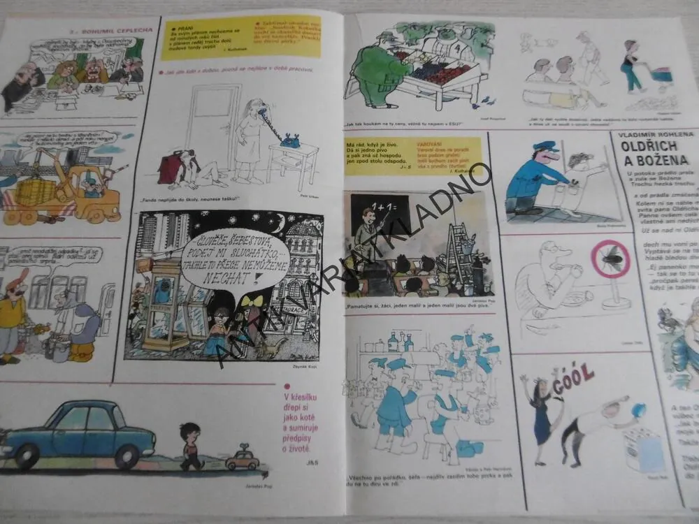 DIKOBRAZ 36/1986