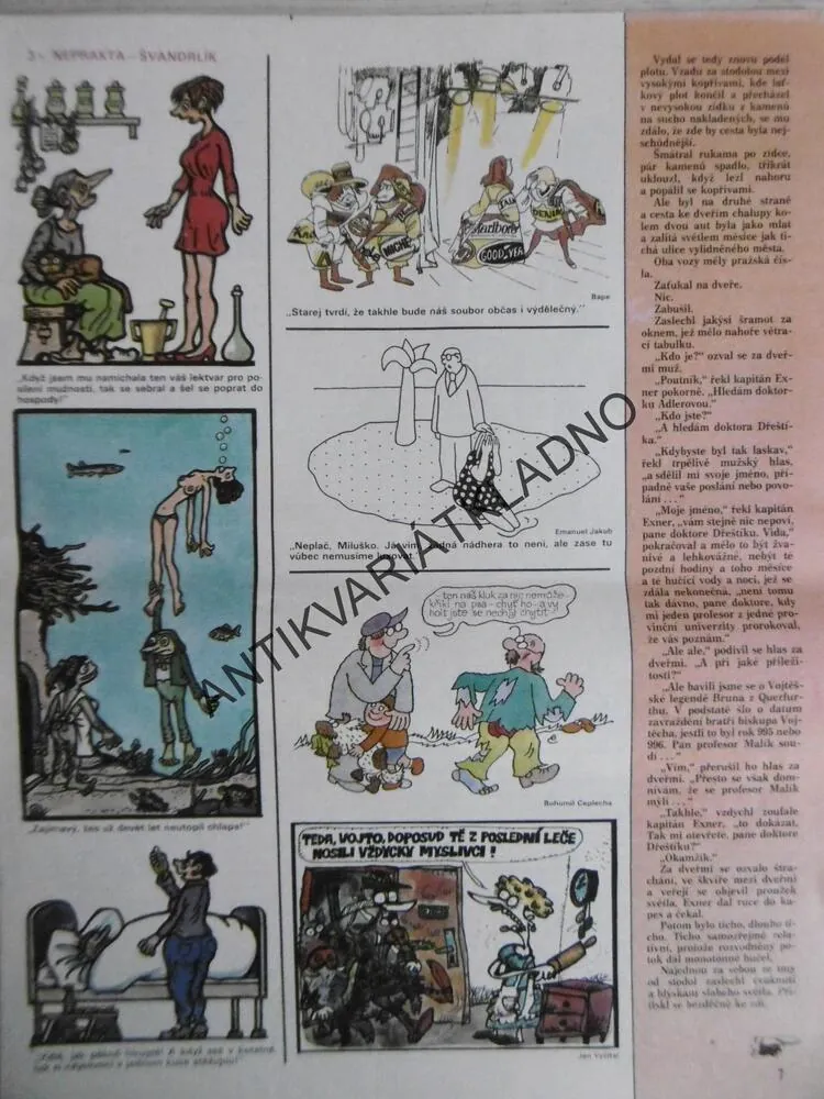 DIKOBRAZ 39/1986