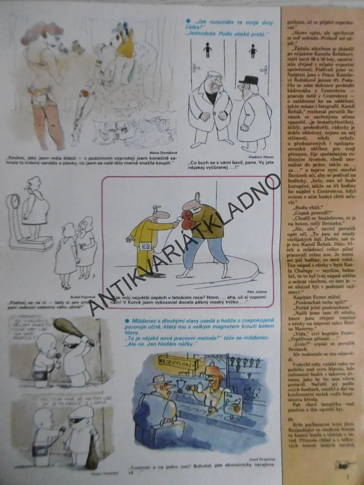 DIKOBRAZ 43/1986