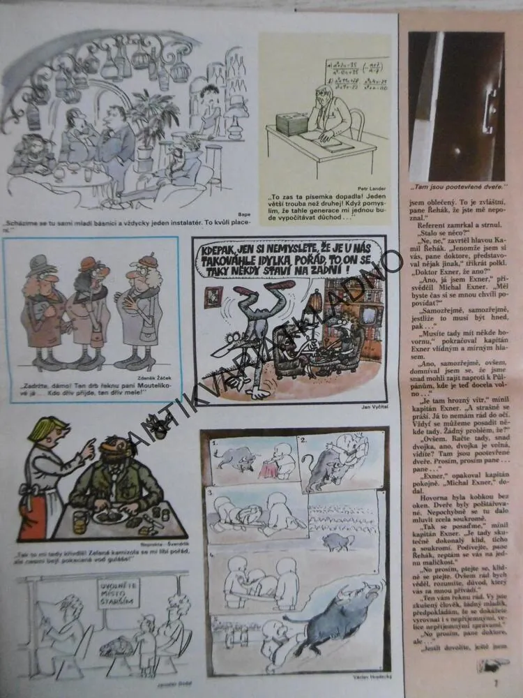 DIKOBRAZ 44/1986