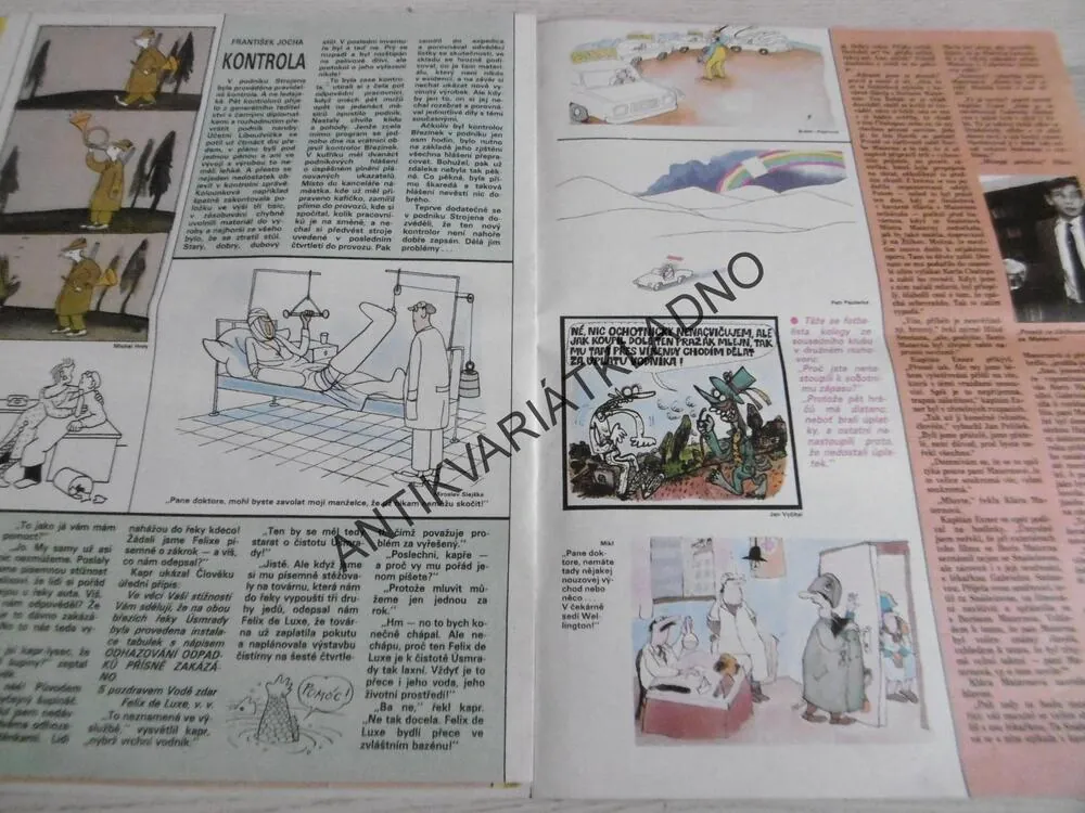 DIKOBRAZ 47/1986