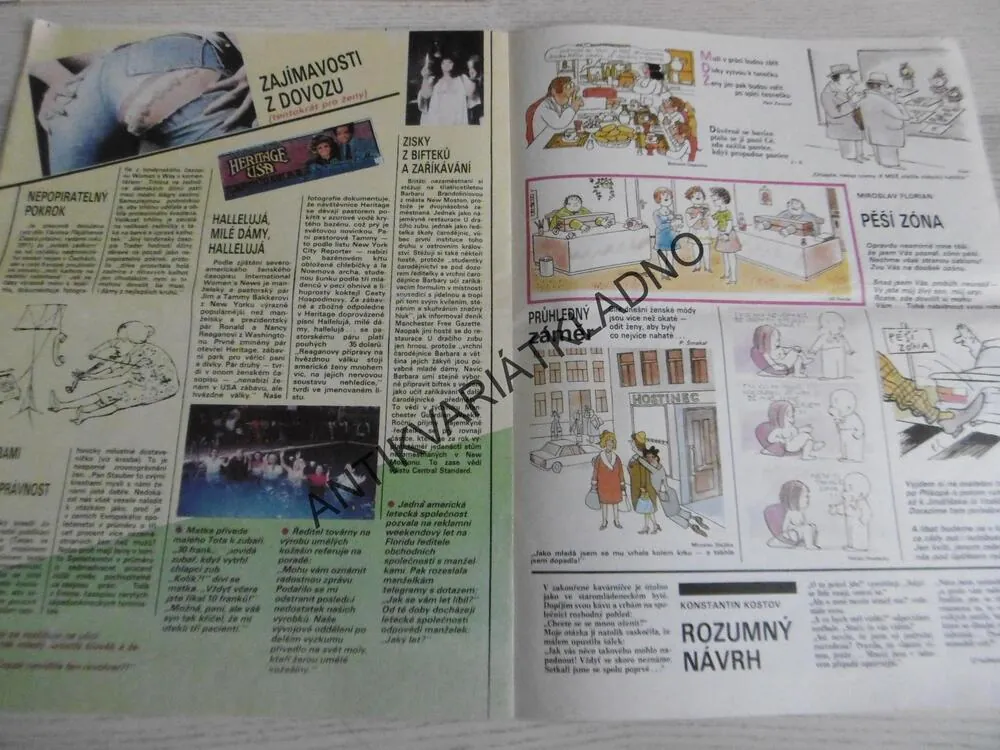 DIKOBRAZ 9/1987