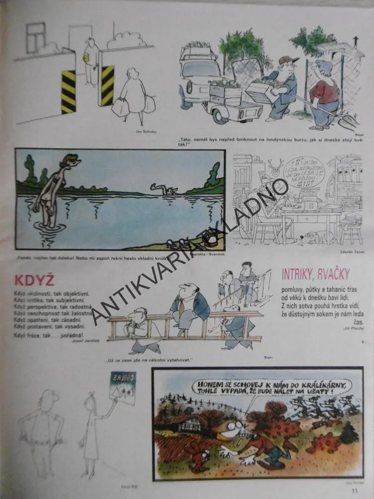 DIKOBRAZ 24/1987
