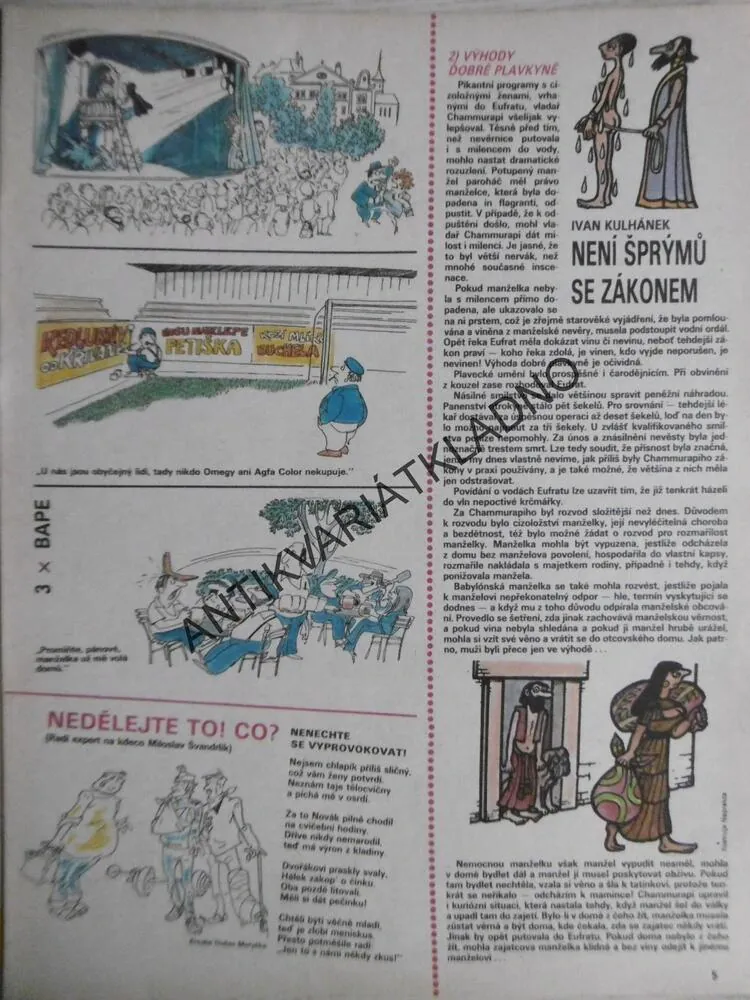 DIKOBRAZ 28/1987