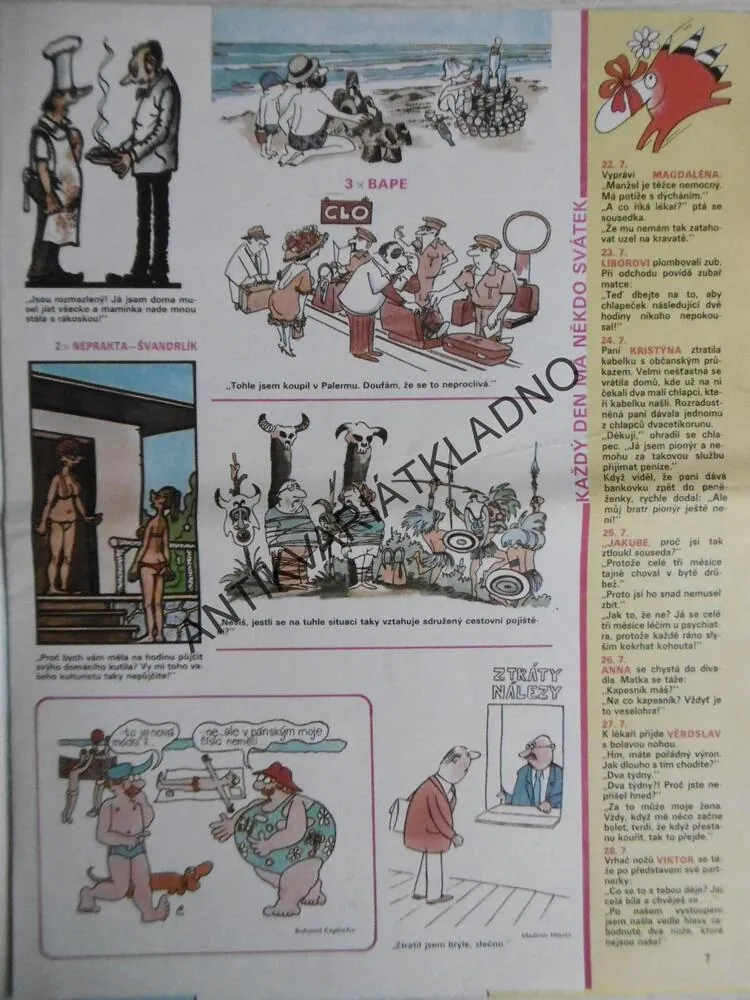 DIKOBRAZ 29/1987