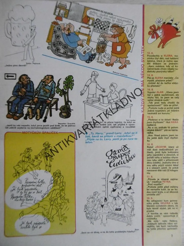 DIKOBRAZ 32/1987