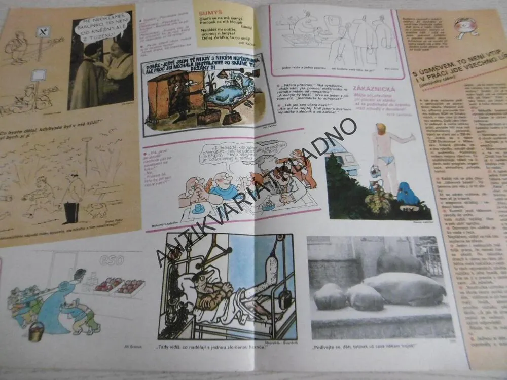 DIKOBRAZ 33/1987