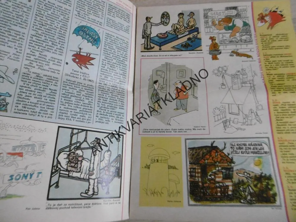 DIKOBRAZ 35/1987