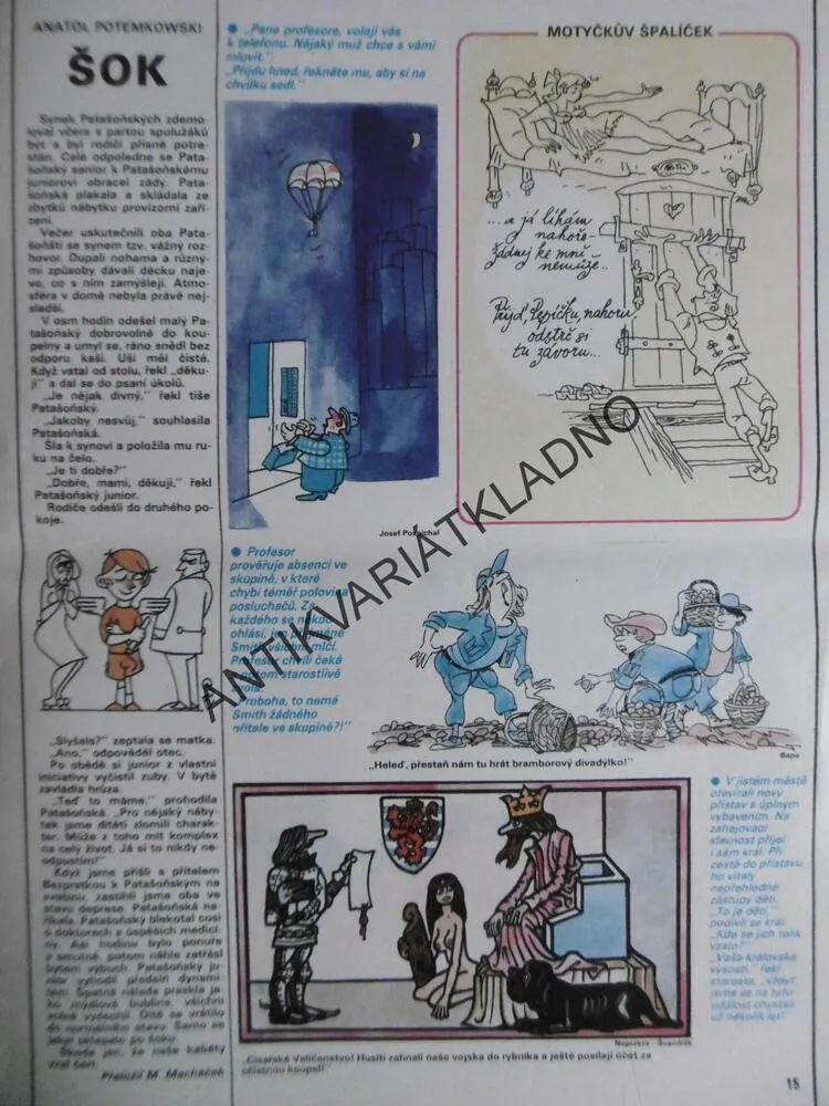 DIKOBRAZ 36/1987