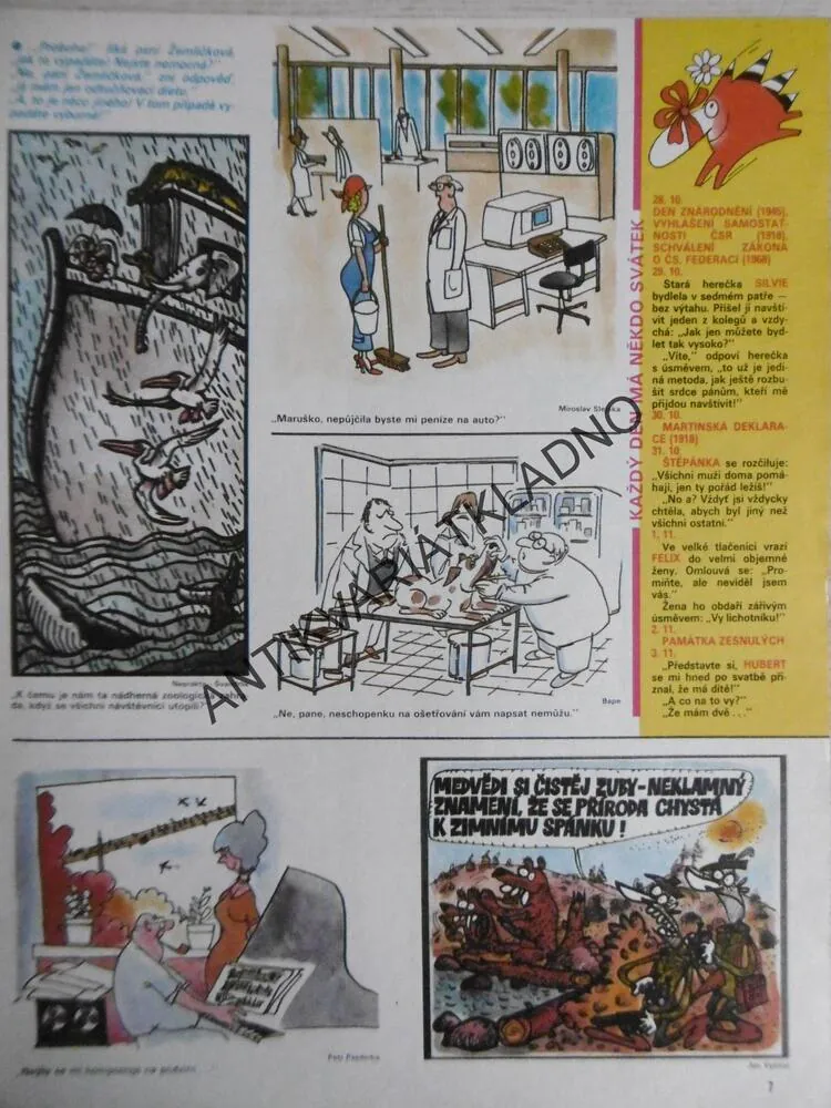DIKOBRAZ 43/1987