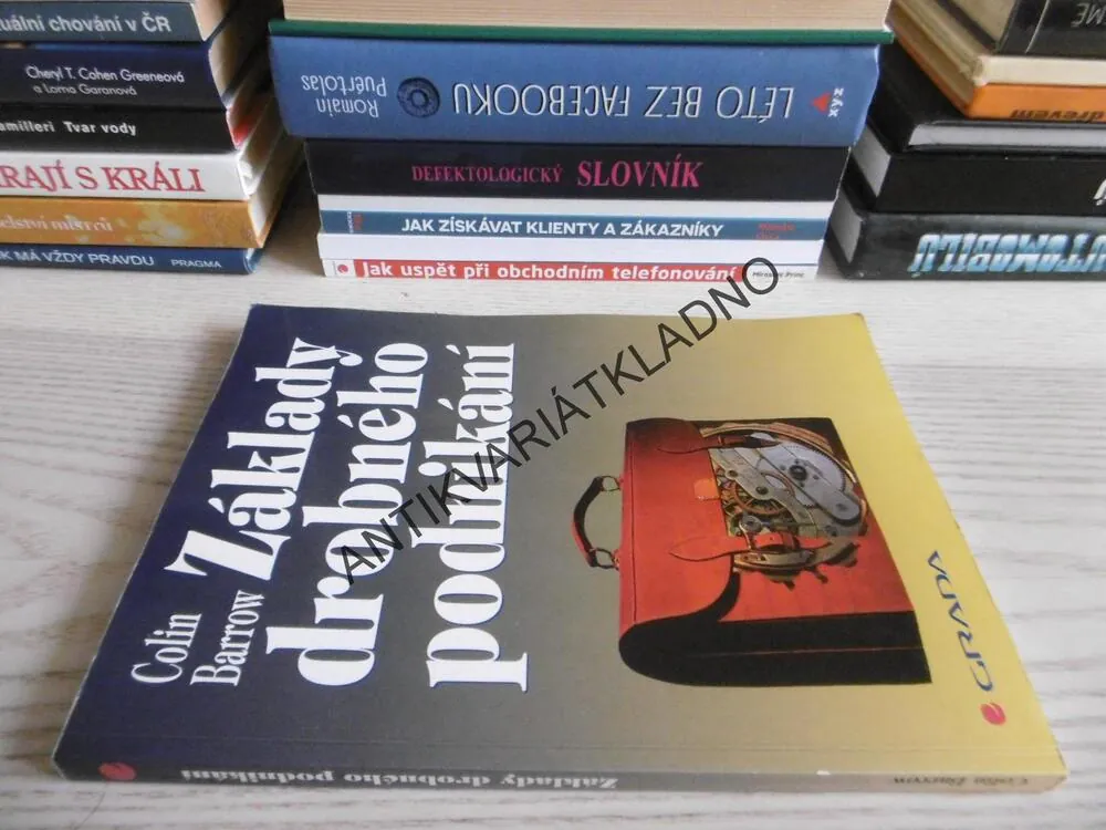 ZÁKLADY DROBNÉHO PODNIKÁNÍ, COLIN BARROW, **an