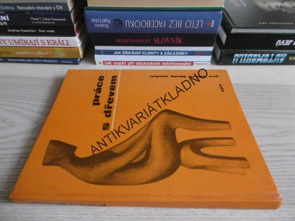 PRÁCE S DŘEVEM, VÁCLAV ŠEDÝ, **an