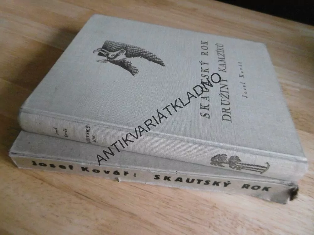 SKAUTSKÝ ROK DRUŽINY KAMZÍKŮ, JOSEF NOVÁK, SKAUT, JUNÁK 1938