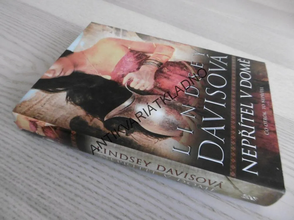 NEPŘÍTEL V DOMĚ, LINDSEY DAVISOVÁ, **an