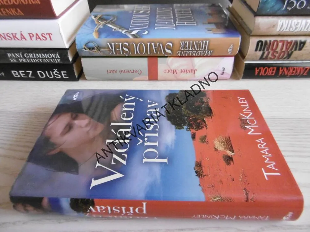 VZDÁLENÝ PŘÍSTAV, TAMARA MCKINLEY, **an