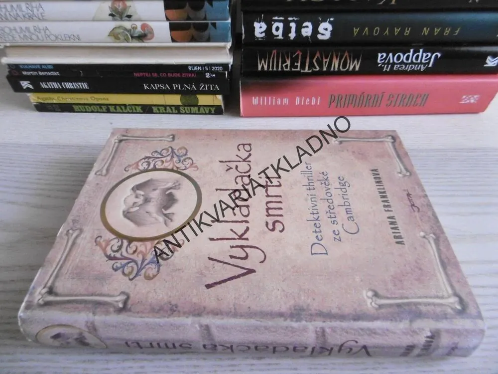 VYKLADAČKA SMRTI, ARIANA FRANKLINOVÁ, **an