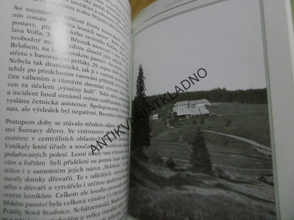 ŠUMAVSKÉ VZPOMÍNKY NA ČASY. KDY PRÁCE VONĚLA LESEM, LESNICTVÍ,DŘEVAŘSTVÍ, ŠUMAVA