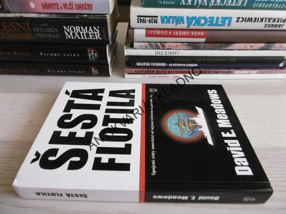 ŠESTÁ FLOTILA, DAVID E. MEADOWS, **an