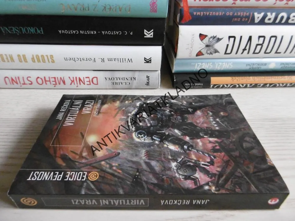 VIRTUÁLNÍ VRAZI, JANA REČKOVÁ, **an