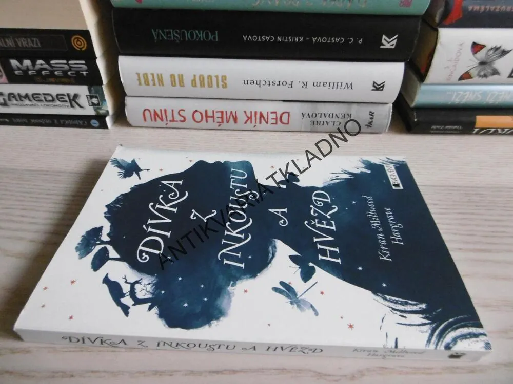 DÍVKA Z INKOUSTU A HVĚZD, KIRAN MILLWOOD HARGRAVE, **an