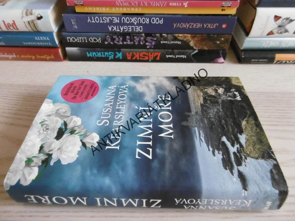 ZIMNÍ MOŘE, SUSANNA KEARSLEYOVÁ, **an