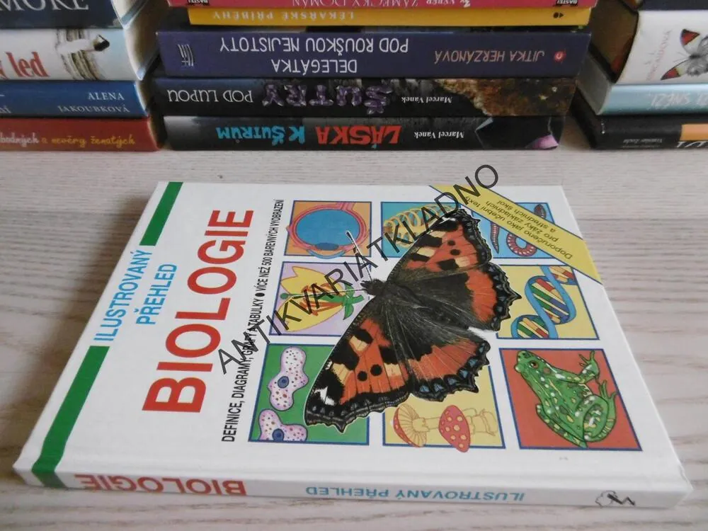 ILUSTROVANÝ PŘEHLED BIOLOGIE, CORINNE STOCKLEY, **an