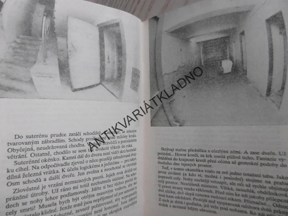 STÍN ŠIBENICE, ROMAN CÍLEK, **an