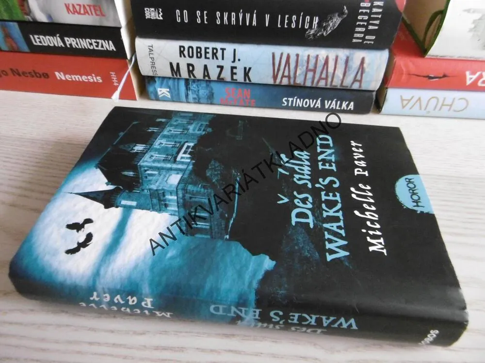 DĚS SÍDLA WAKE´S END, MICHELLE PAVER, **an