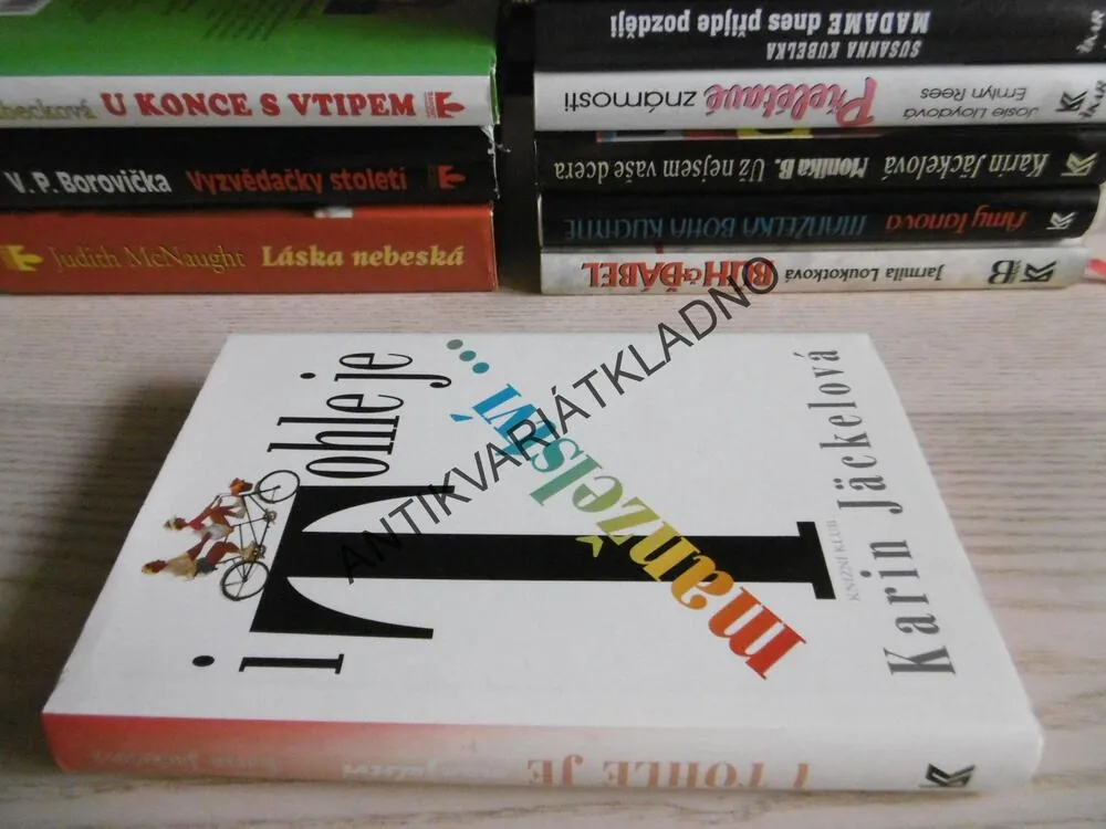 I TOHLE JE MANŽELSTVÍ, KARIN JÄCKELOVÉ, **an