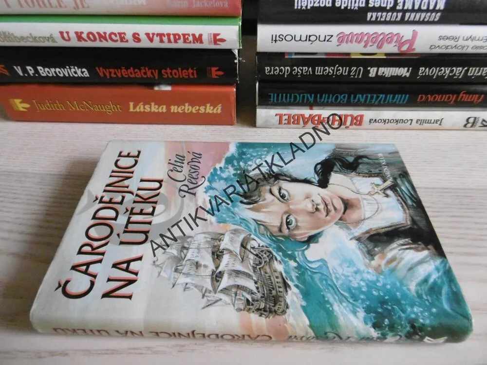 ČARODĚJNICE NA ÚTĚKU, CELIA REESOVÁ, **an