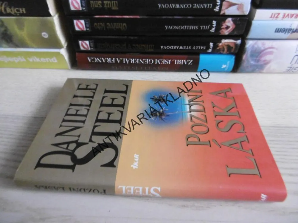 POZDNÍ LÁSKA, DANIELLE STEEL, **an