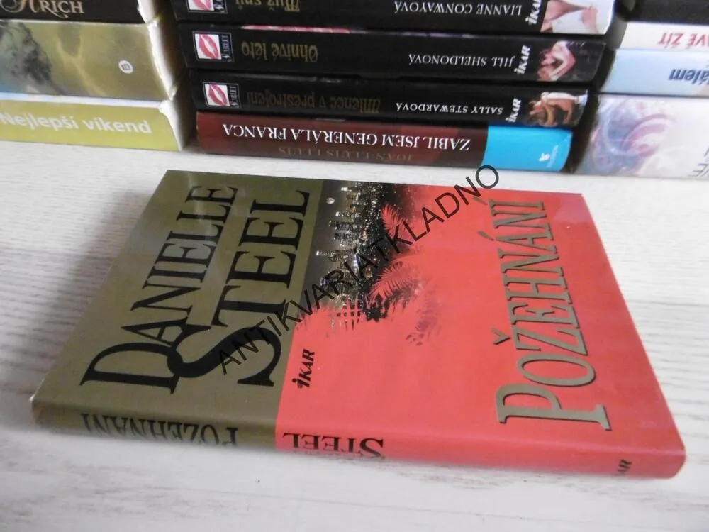 POŽEHNÁNÍ, DANIELLE STEEL, **an