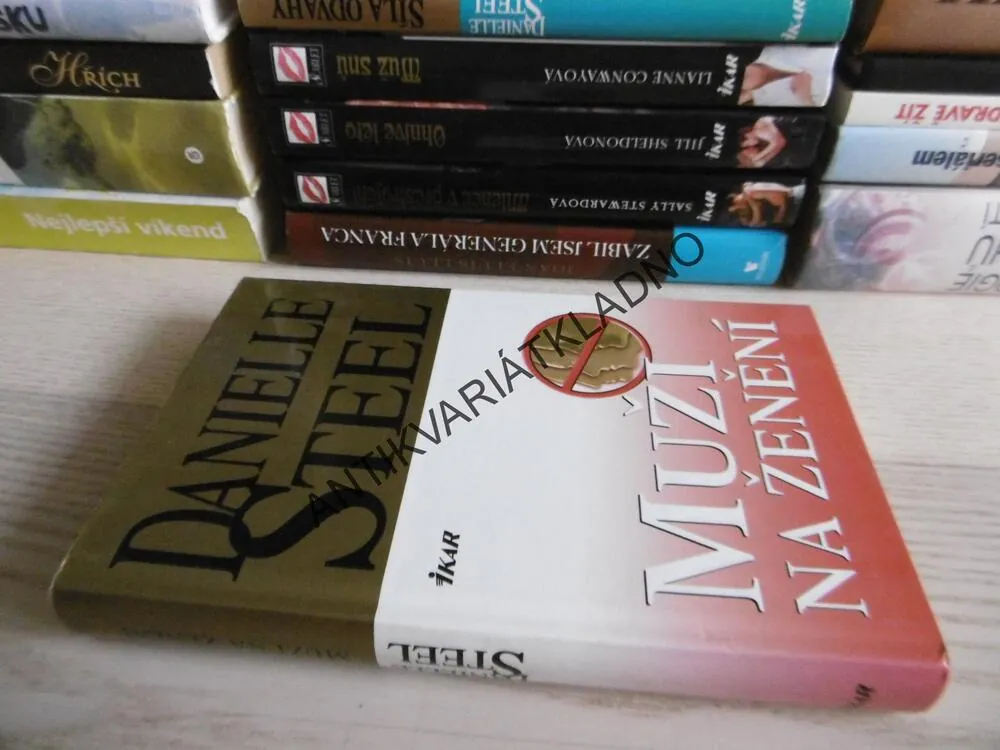 MUŽI NA ŽENĚNÍ, DANIELLE STEEL, **an