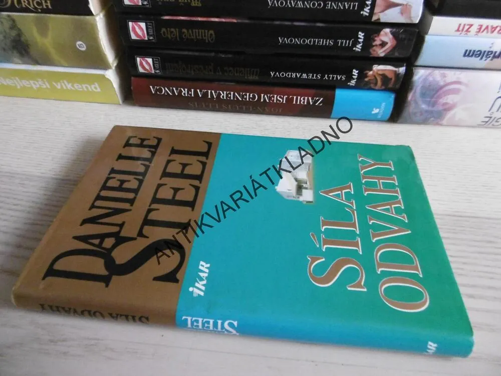 SÍLA ODVAHY, DANIELLE STEEL, **an