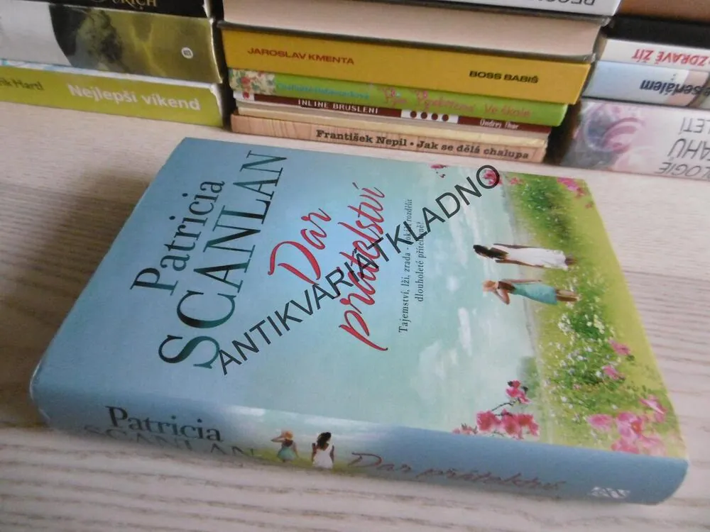 DAR PŘÁTELSTVÍ, PATRICIA SCANLAN, **an