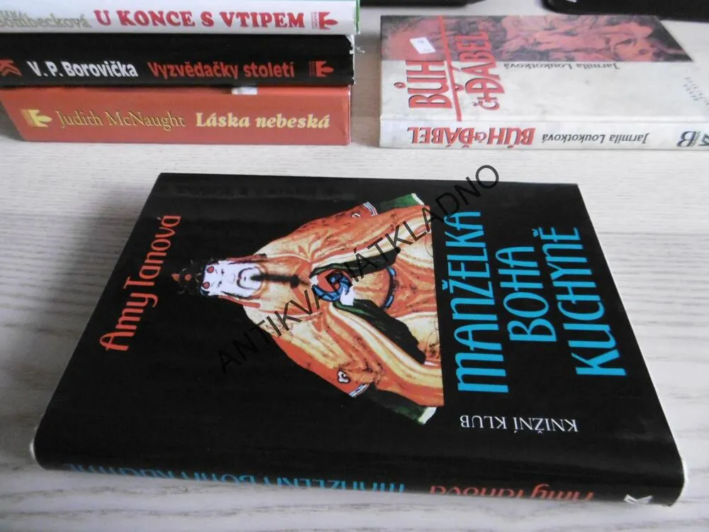 MANŽELKA BOHA KUCHYNĚ, AMY TANOVÁ, **an