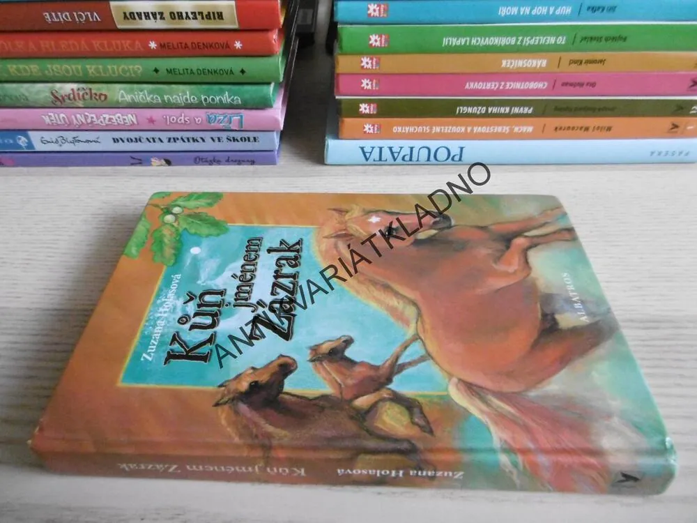 KŮŇ JMÉNEM ZÁZRAK, ZUZANA HOLASOVÁ, **an