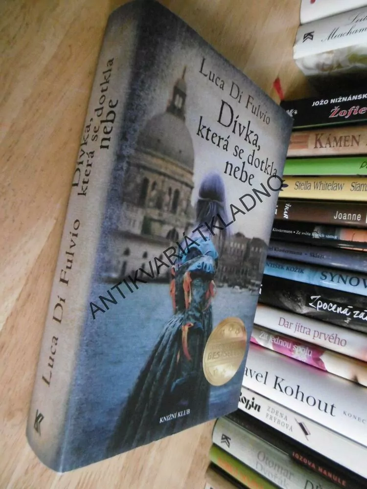 DÍVKA, KTERÁ SE DOTKLA NEBE, LUCA DI FULVIO, BESTSELLER