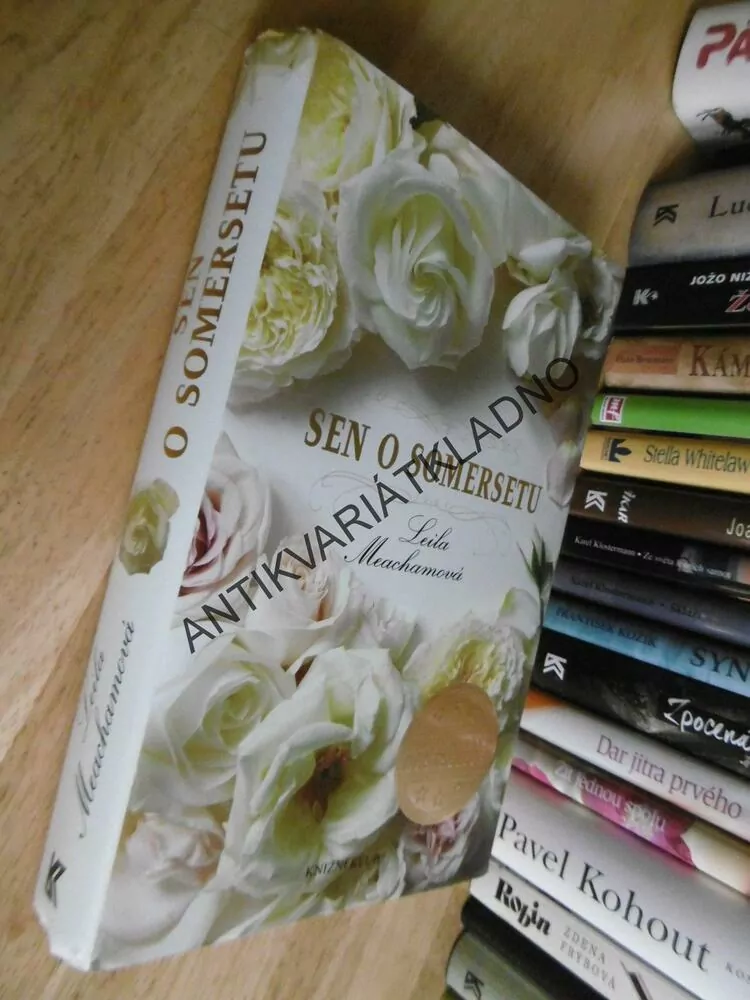 SEN O SOMERSETU, LEILA MEACHAMOVÁ, BESTSELLER,