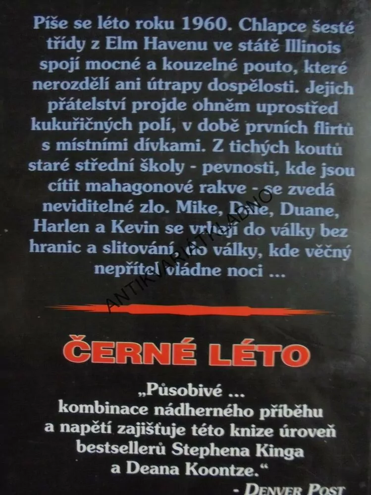 ČERNÉ LÉTO, DAN SIMMONS,