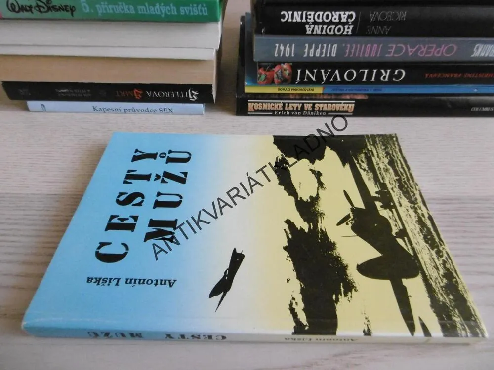 CESTY MUŽŮ, ANTONÍN LIŠKA, **an