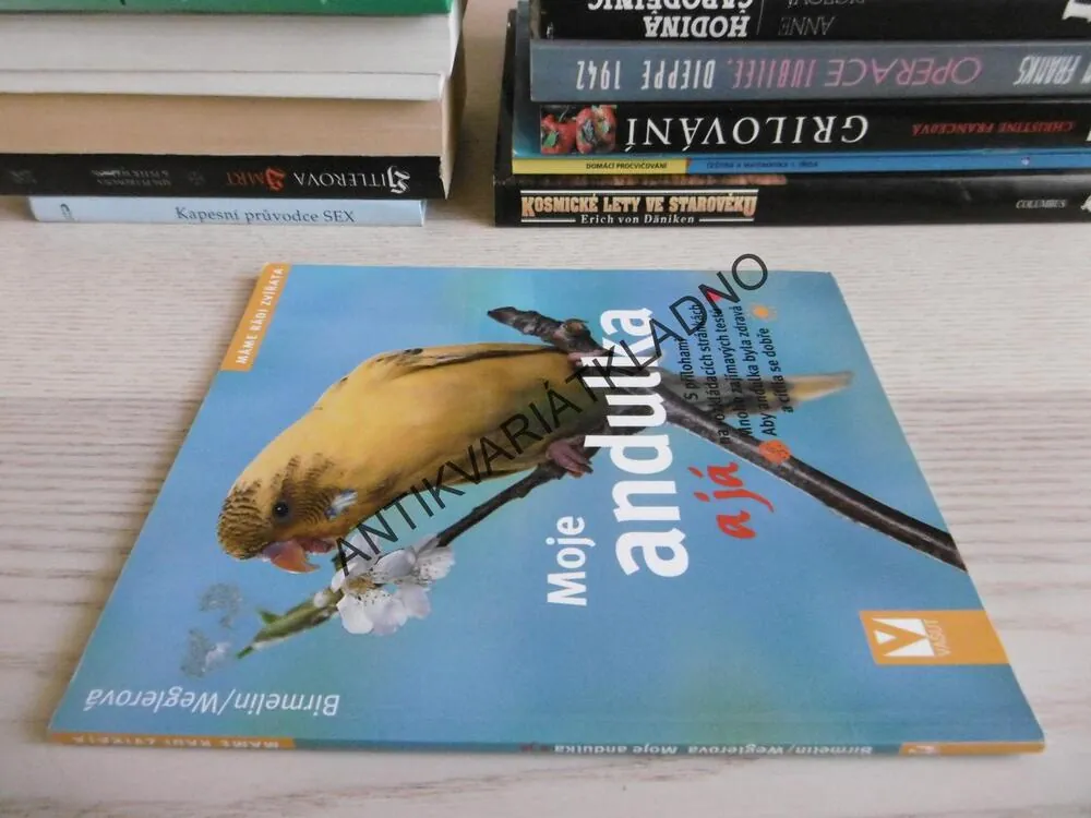 MOJE ANDULKA A JÁ, BIRMELIN, WERGLEROVÁ, **an