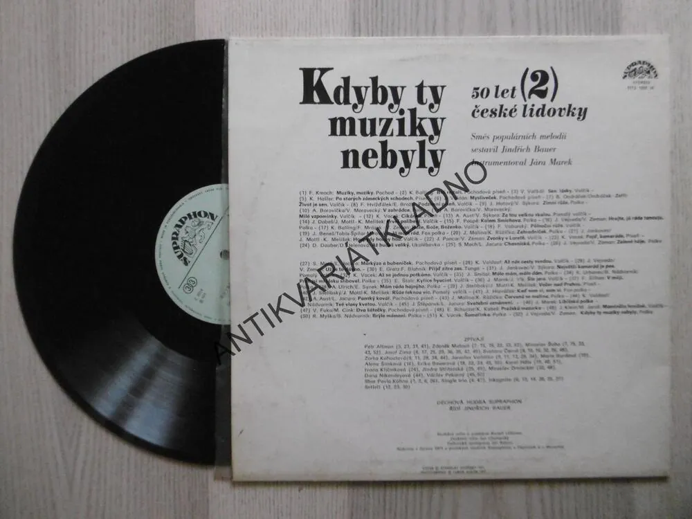 KDYBY TY MUZIKY NEBYLY, 2.,, LP