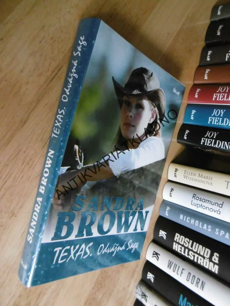 TEXAS, ODVÁŽNÁ SAGE, SANDRA BROWN